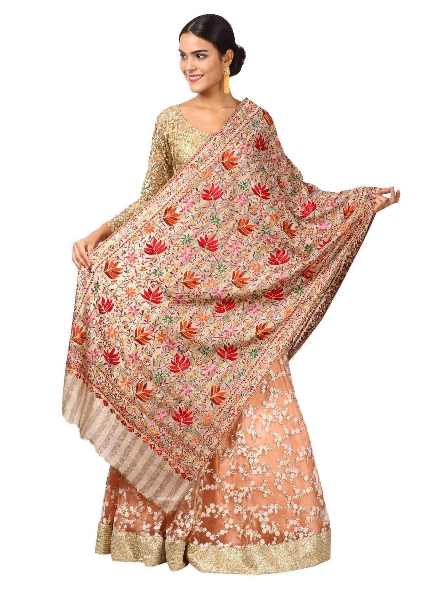 Pashtush Shawl Store Stole Pashtush Womens Hand Embroidery Nalki Stole, Multicoloured