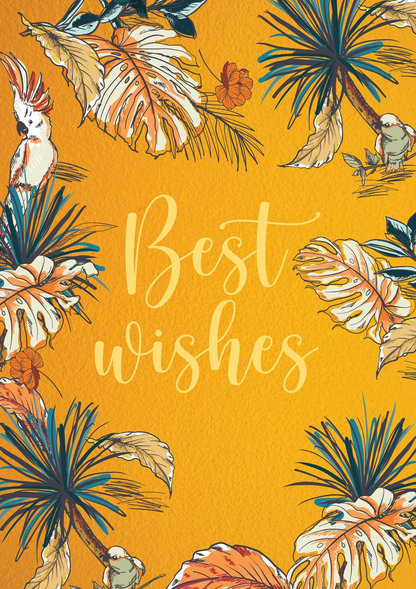 Pashtush Shawl Store Pashtush Best Wishes Note