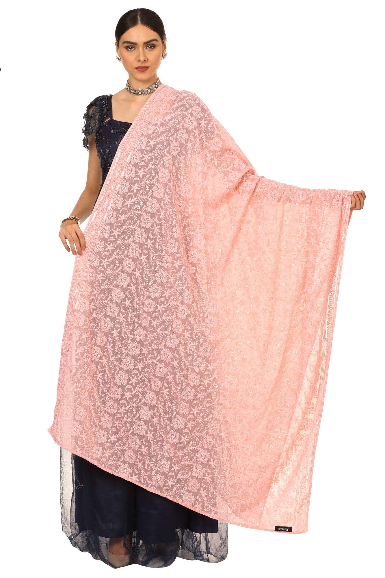 Pashtush Shawl Store Dupatta Pashtush Womens Chiffon Dupatta with Embrodiery, Nude Peach