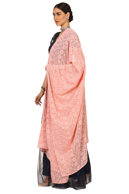 Pashtush Shawl Store Dupatta Pashtush Womens Chiffon Dupatta with Embrodiery, Nude Peach