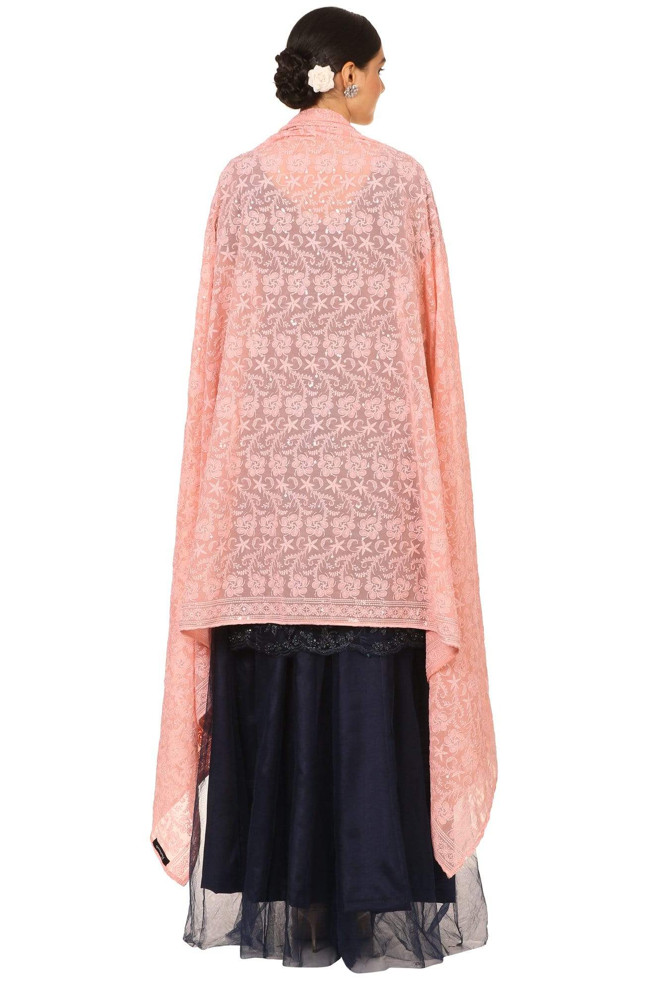 Pashtush Shawl Store Dupatta Pashtush Womens Chiffon Dupatta with Embrodiery, Nude Peach