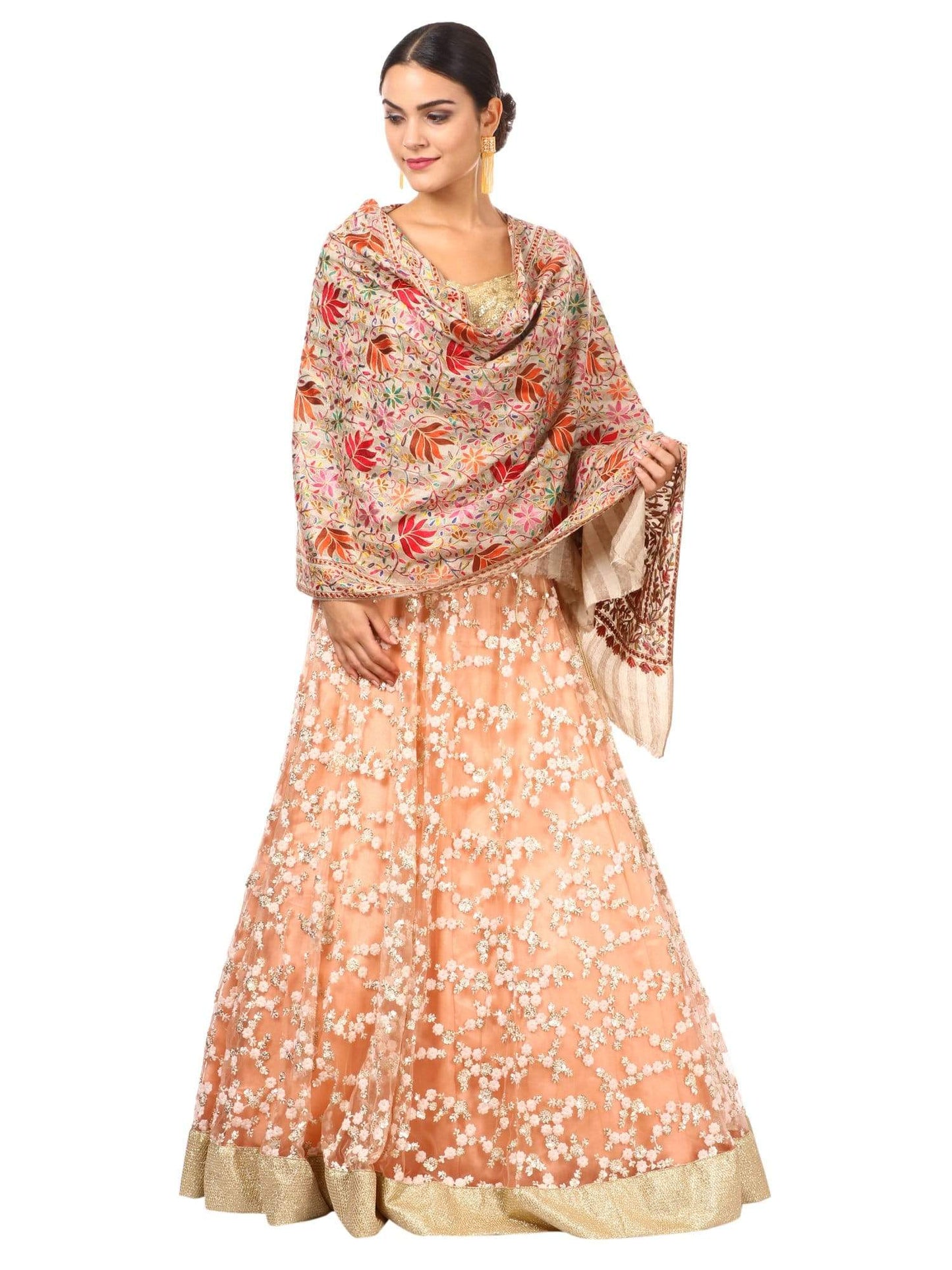 Pashtush Shawl Store Stole Pashtush Womens Hand Embroidery Nalki Stole, Multicoloured