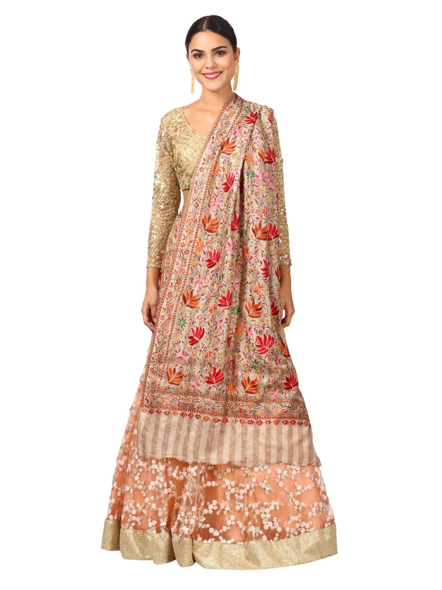 Pashtush Shawl Store Stole Pashtush Womens Hand Embroidery Nalki Stole, Multicoloured