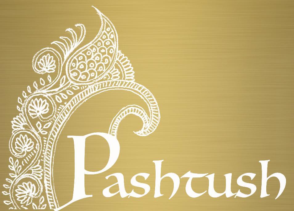 Pashtush Store Pashtush Women's 100% Kashmiri Hand Embroidered Fine wool Shawl
